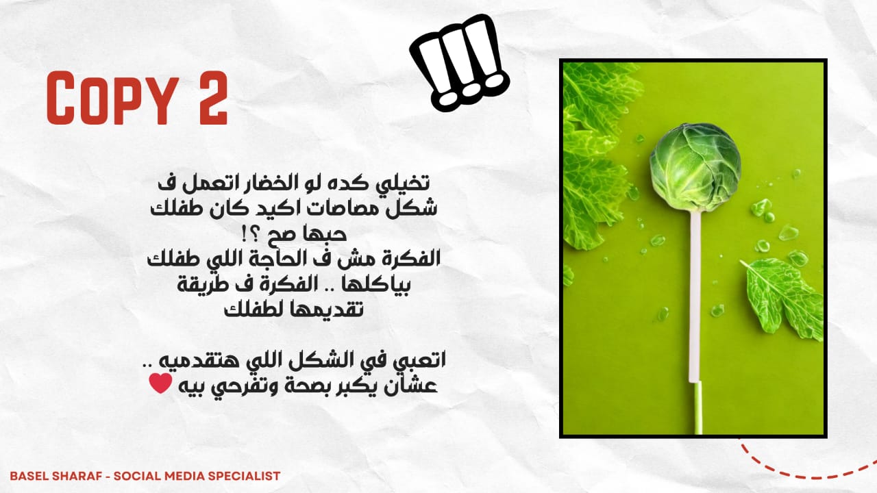 Copy 2